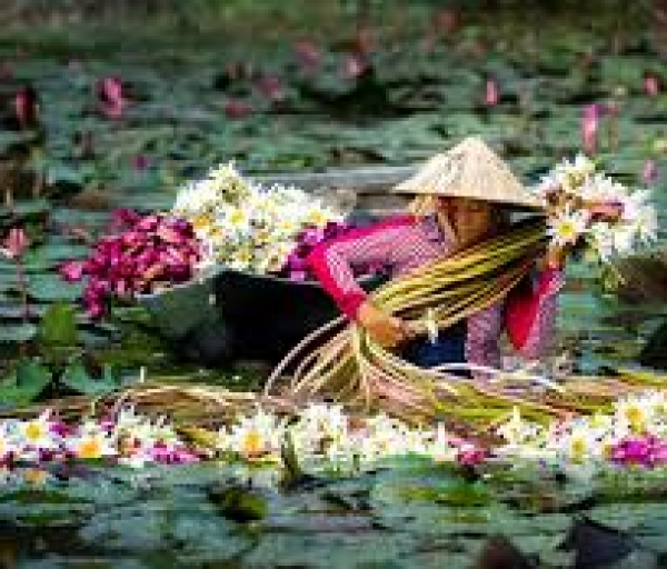 THAM QUAN MIỆT THỨ: TP.HCM - CẦN THƠ - SÓC TRĂNG - BẠC LIÊU - CÀ MAU 